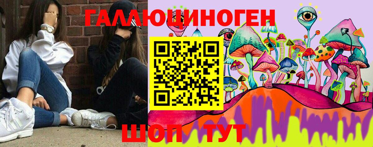 что такое наркотик  Псилоцибиновые грибы мухоморы  Псилоцибиновые грибы ЛСД  Вход с VPN  Дивногорск 